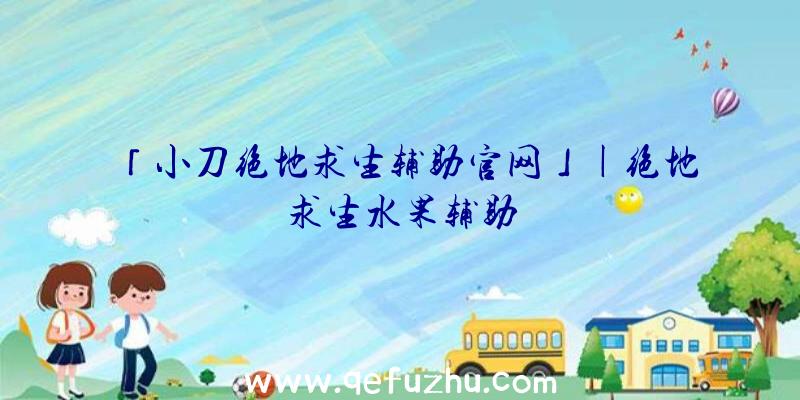 「小刀绝地求生辅助官网」|绝地求生水果辅助